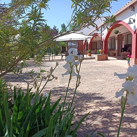 Casa Rural El Palomar Pedro Muñoz Exterior foto
