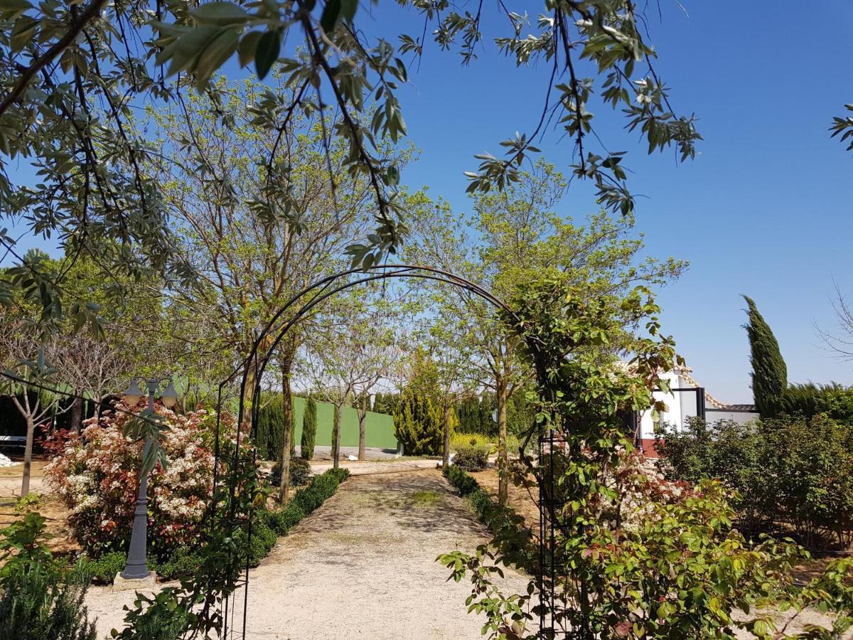 Casa Rural El Palomar Pedro Muñoz Exterior foto